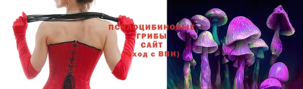 мяу мяу мука Касимов